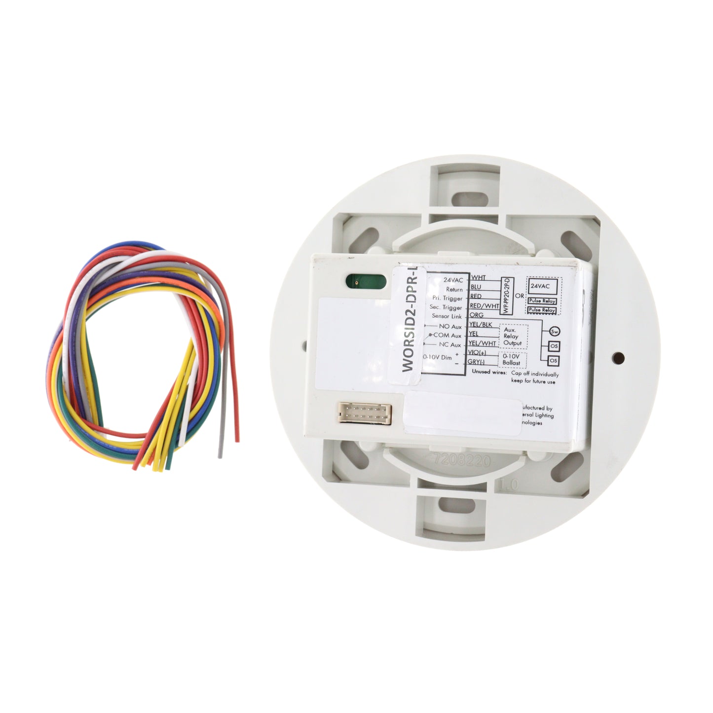 DIVERSA WORBID2-DPR-L