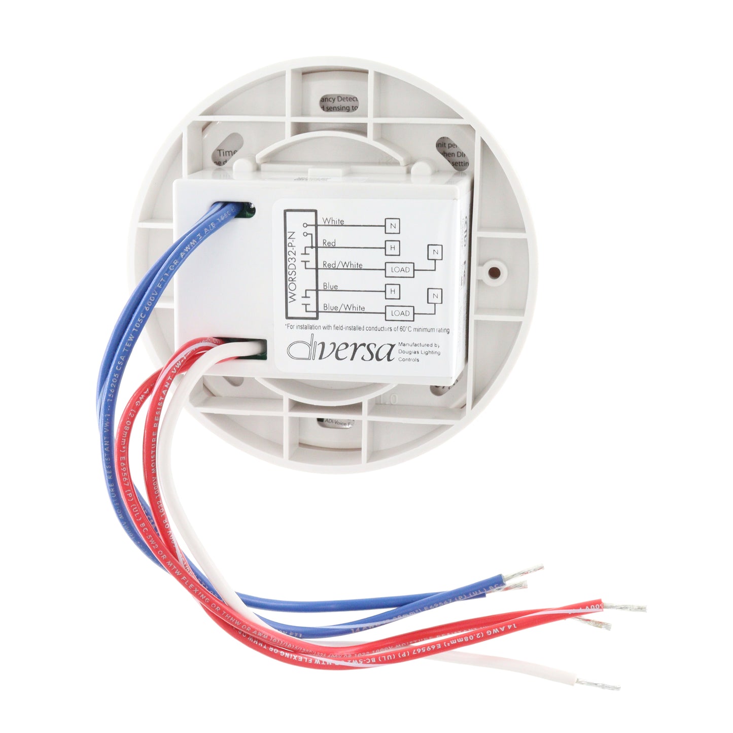 DIVERSA WORSD32-P-N