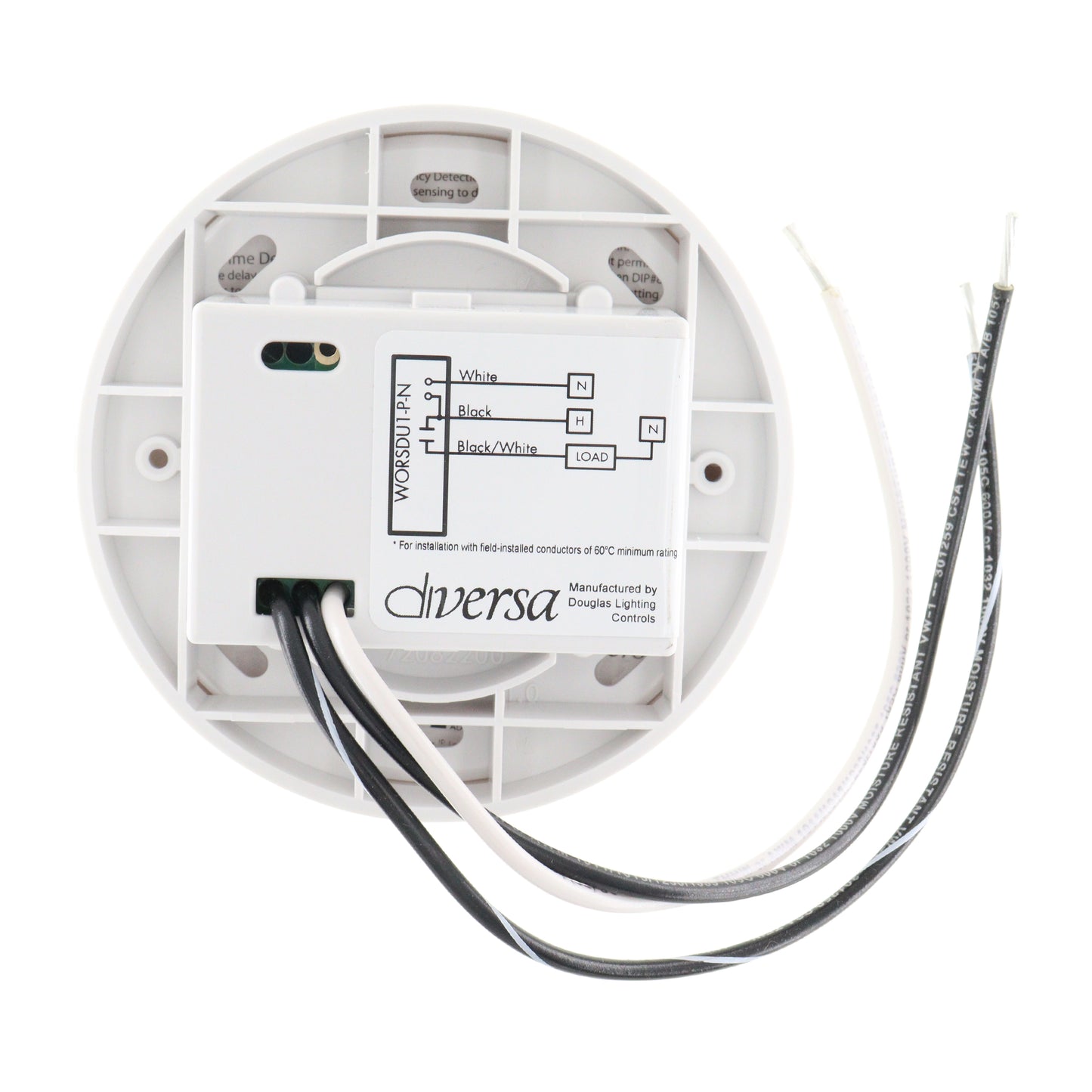 DIVERSA WORSDU1-P-N