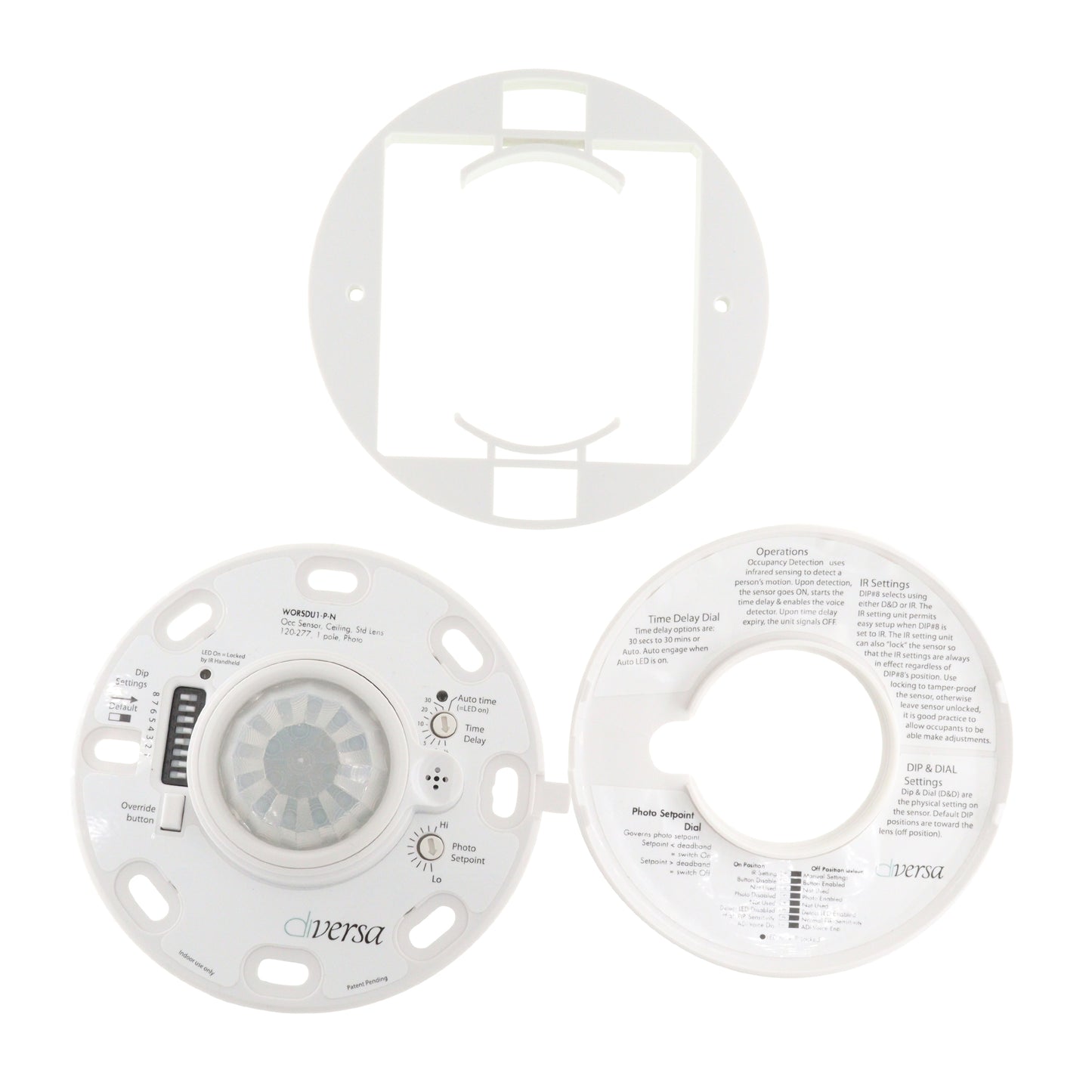DIVERSA WORSDU1-P-N