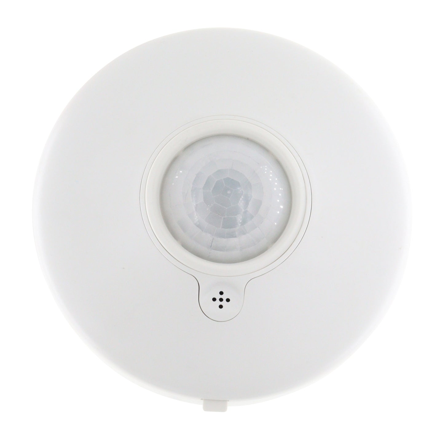 DIVERSA WORSI32-P-N