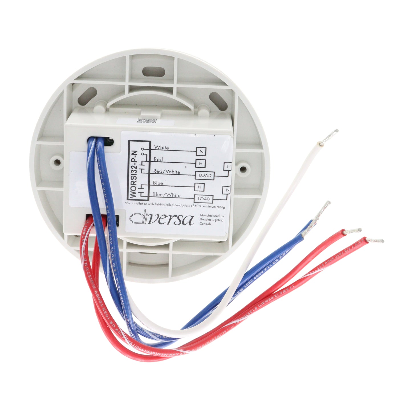 DIVERSA WORSI32-P-N