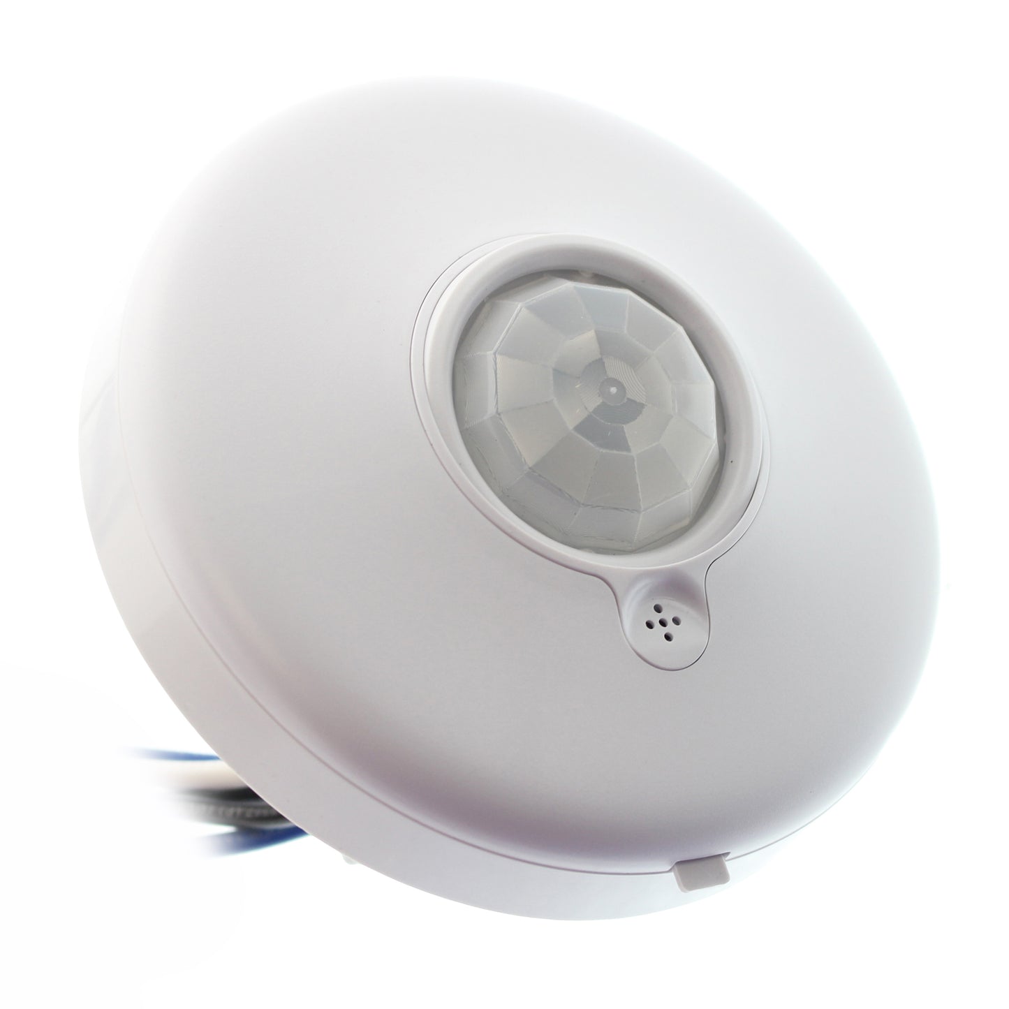 Diversa WORXDU2-P-L
