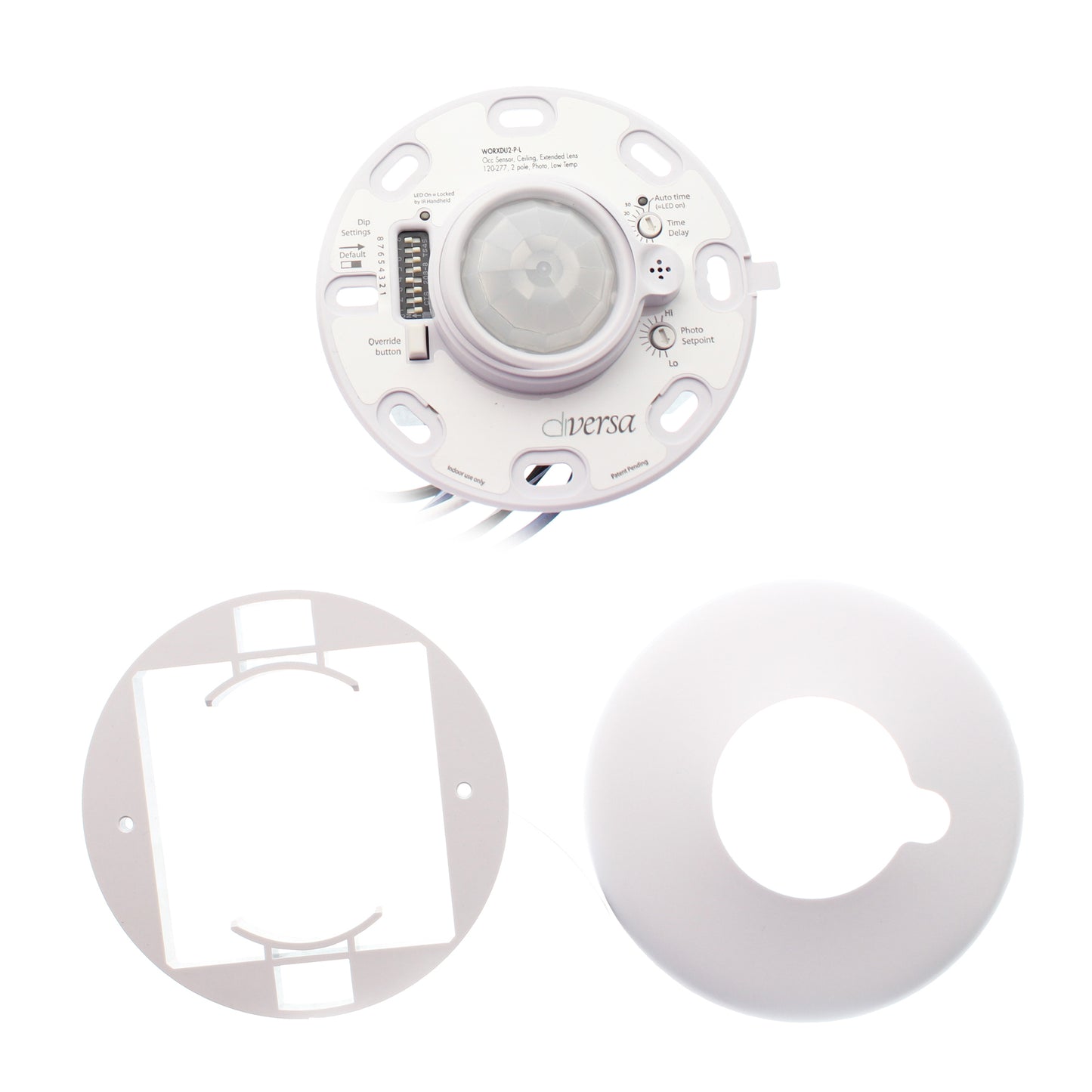 Diversa WORXDU2-P-L