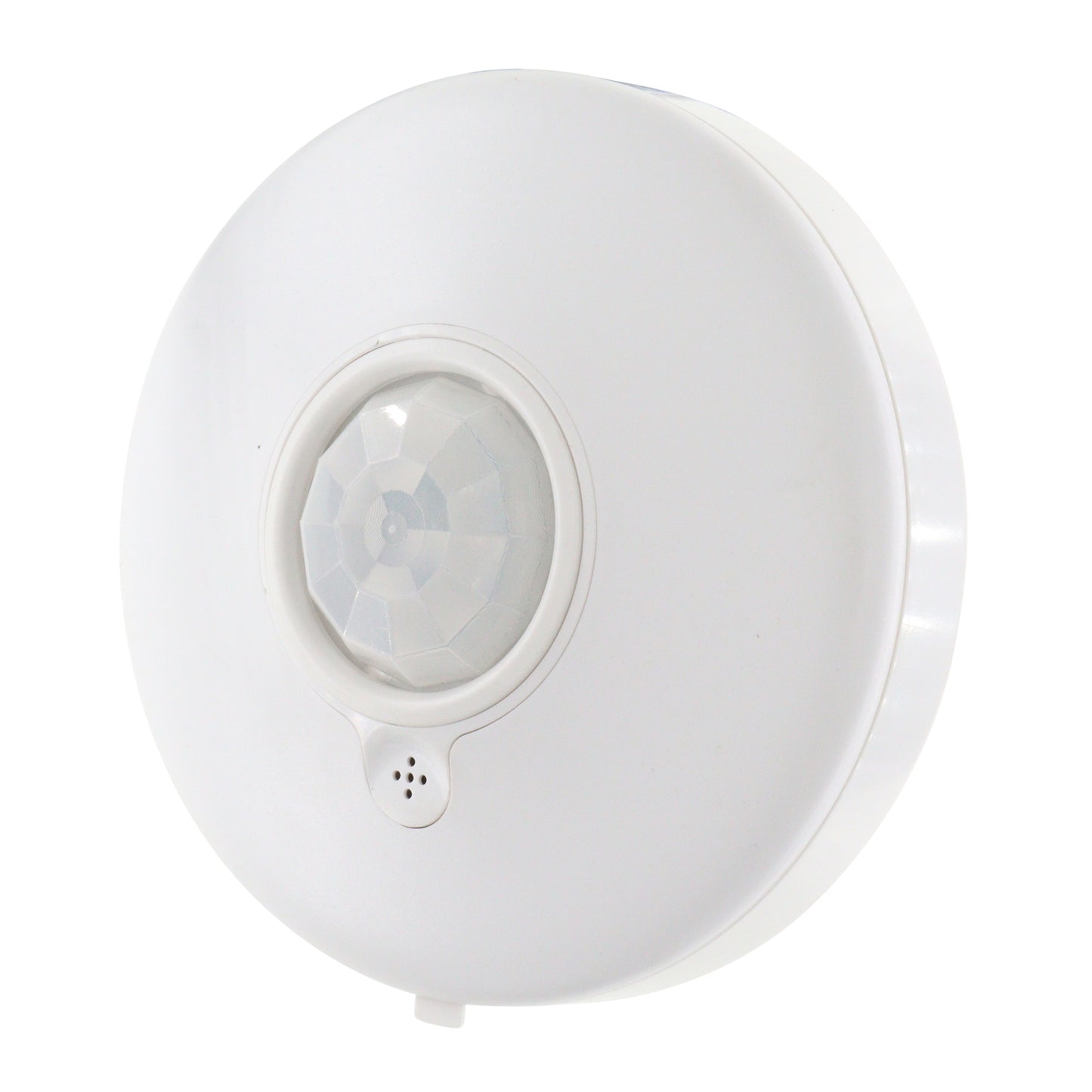 DIVERSA WORXIU2-P-N