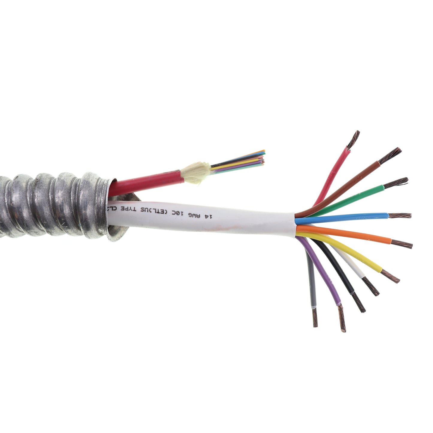 Cireneg COMP-MC-14-10C-FPLP-12F-SM-1000-FT