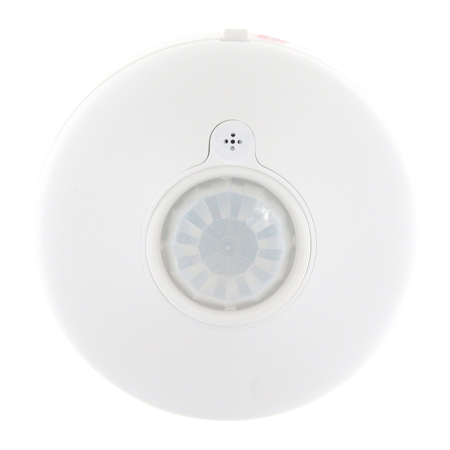 DIVERSA WORSD31-P-N