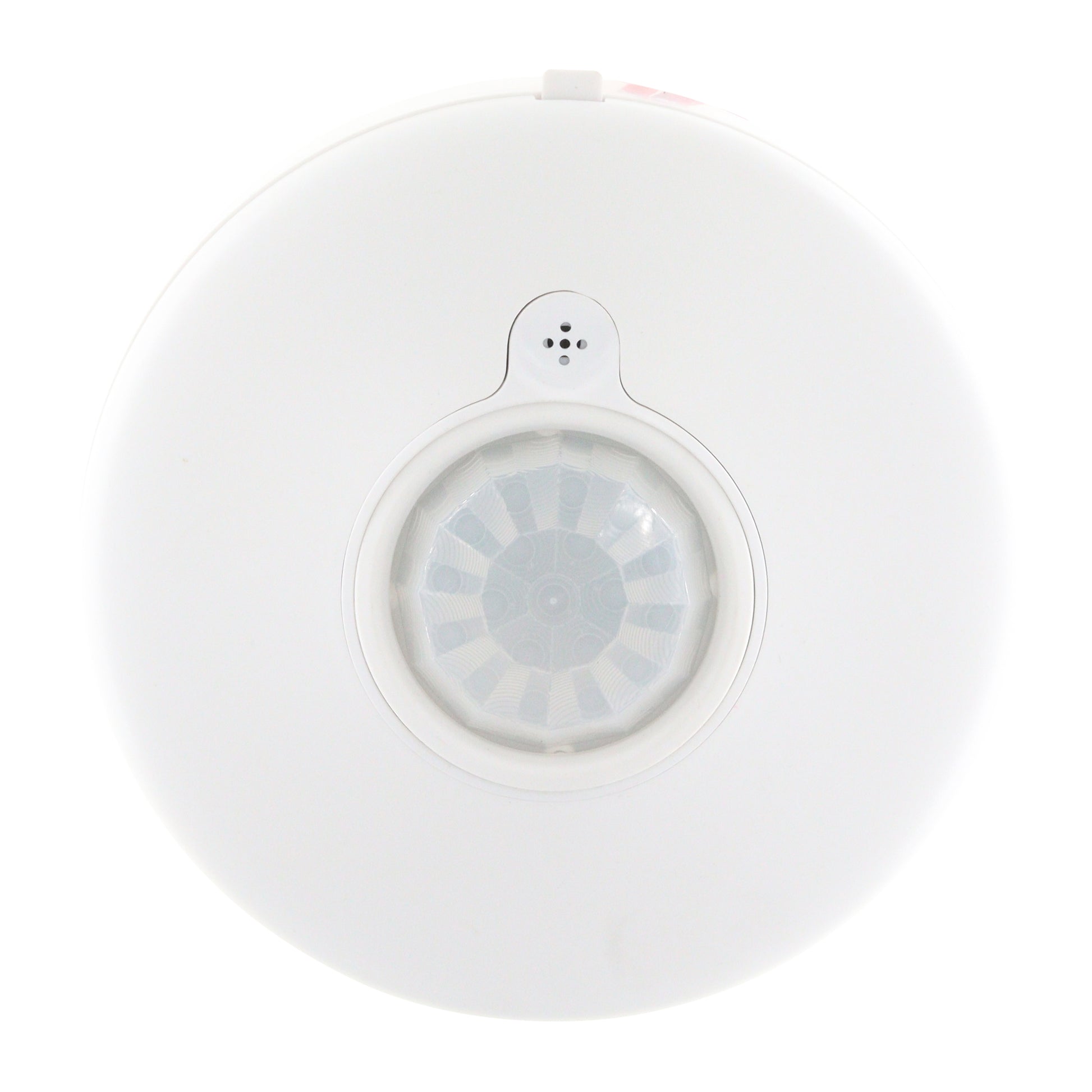 DIVERSA WORSD31-P-N