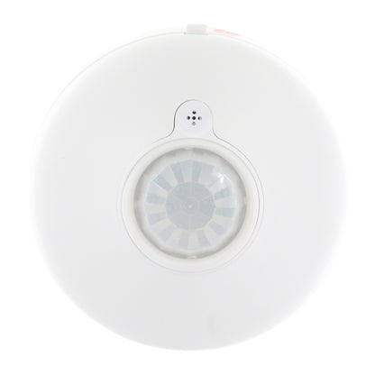 DIVERSA WORSD31-P-N