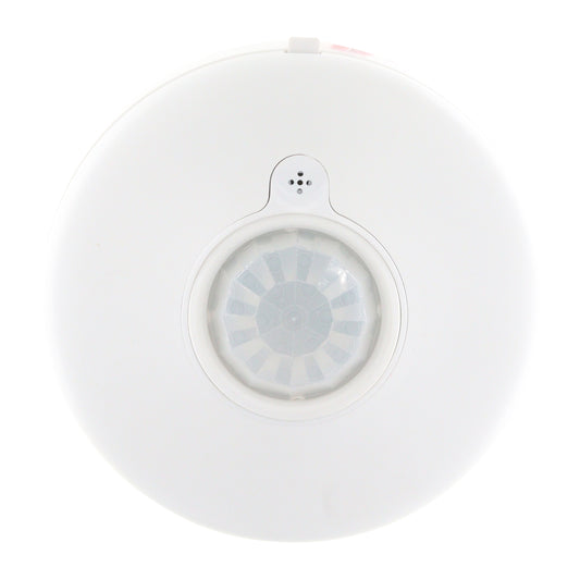 DIVERSA WORSD31-P-N