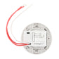 DIVERSA WORSD31-P-N