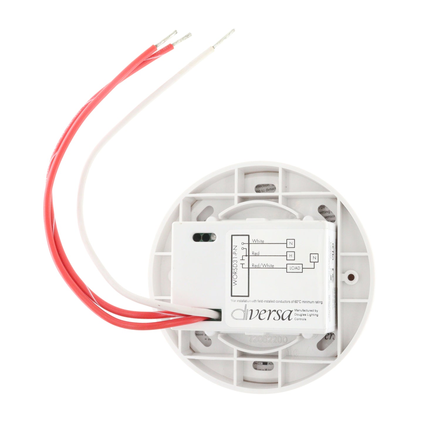 DIVERSA WORSD31-P-N