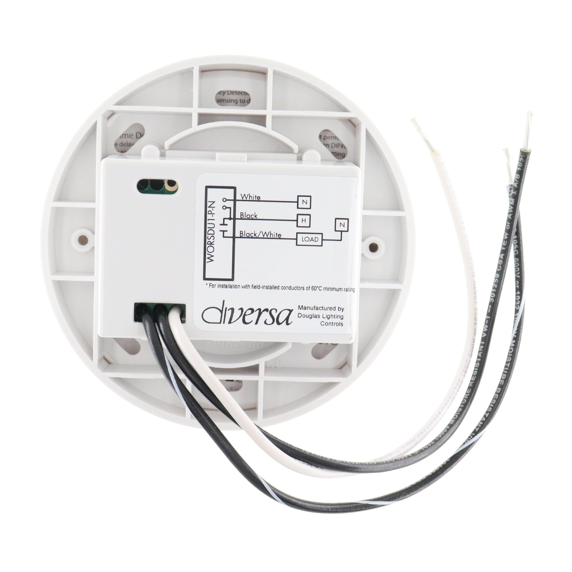 DIVERSA WORSDU1-P-N