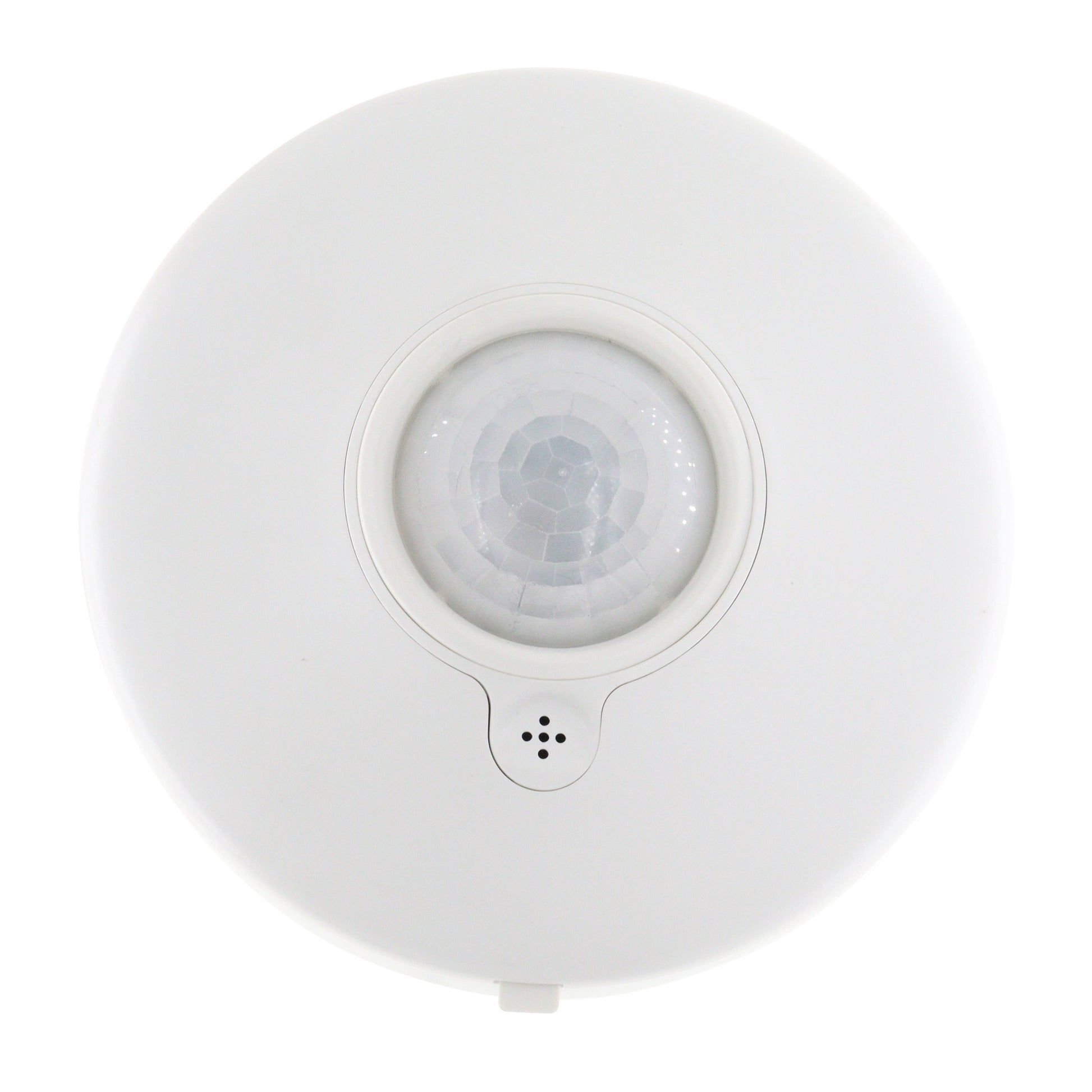 DIVERSA WORSI32-P-N