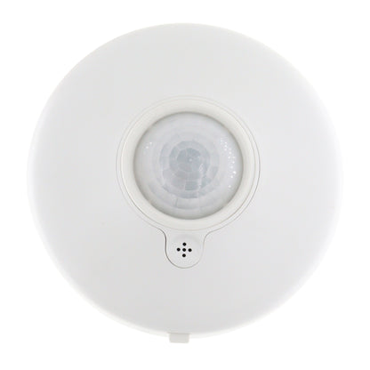 DIVERSA WORSI32-P-N