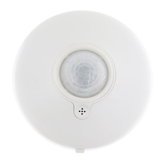 DIVERSA WORSI32-P-N
