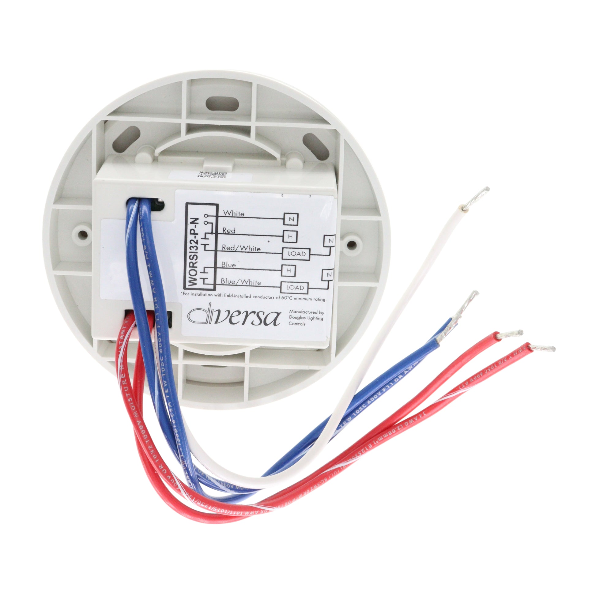 DIVERSA WORSI32-P-N