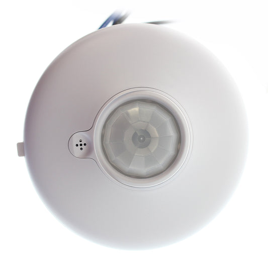 Diversa WORXDU2-P-L