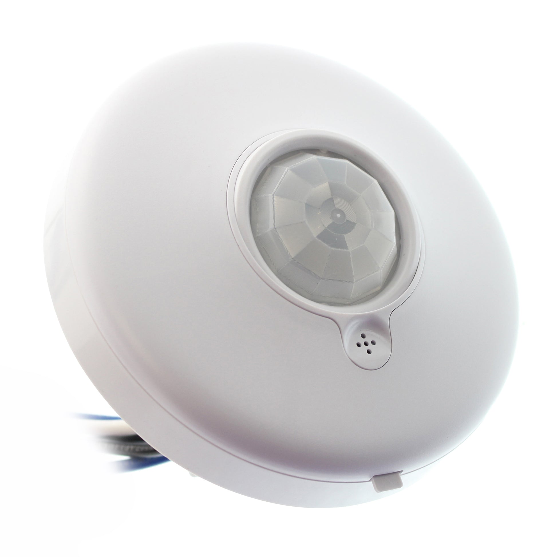 Diversa WORXDU2-P-L