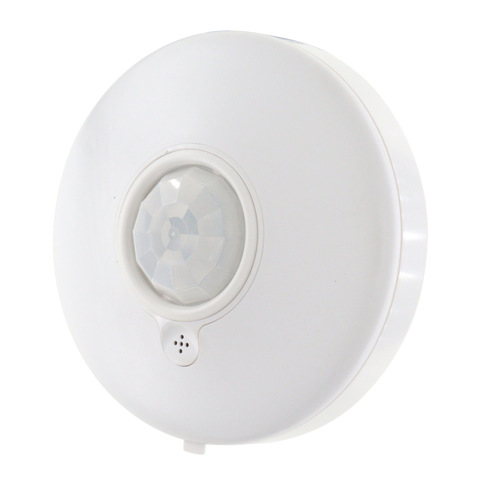DIVERSA WORXIU2-P-N