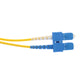 Quiktron 810-447-006