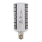 RAB Lighting HID-40-H-EX39-850-BYP-WP