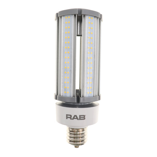 RAB Lighting HID-45-EX39-840-BYP-PT