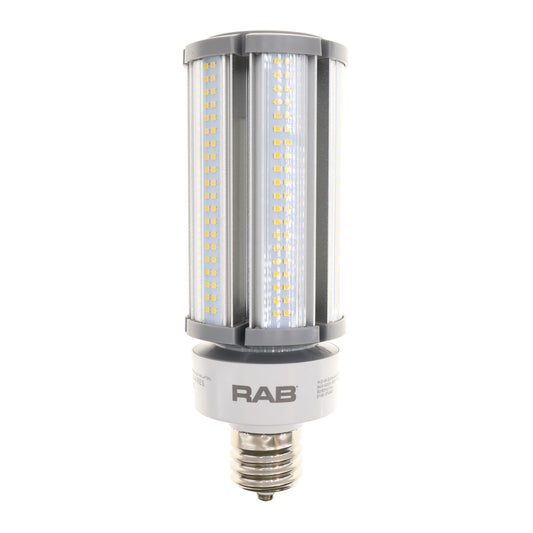 RAB Lighting HID-54-EX39-840-BYP-PT