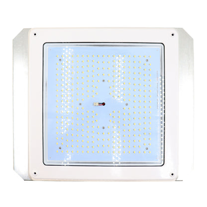 VividLEDS CP16QF1X112U5KCW