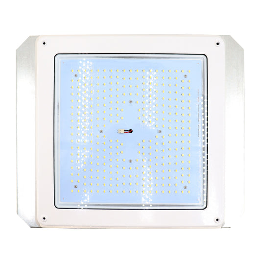VividLEDS CP16QF1X112U5KCW