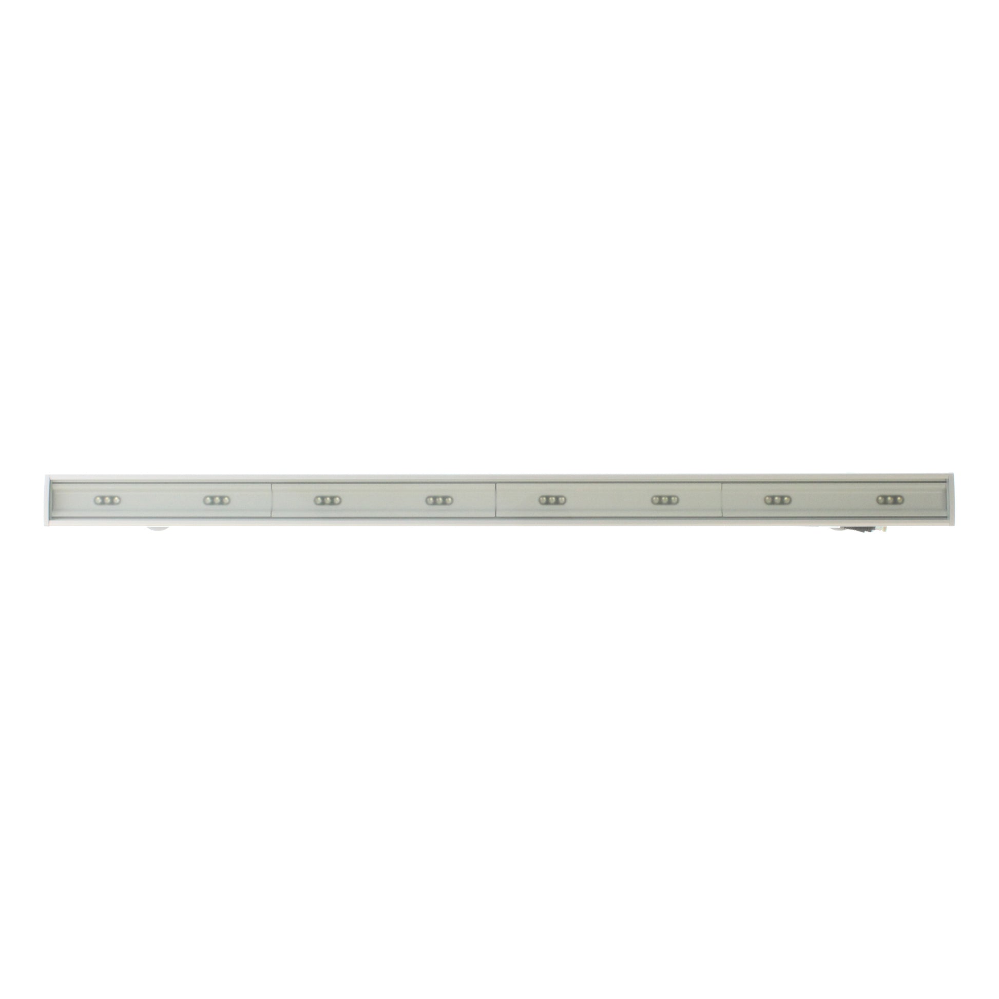 Anolis 1096-0231