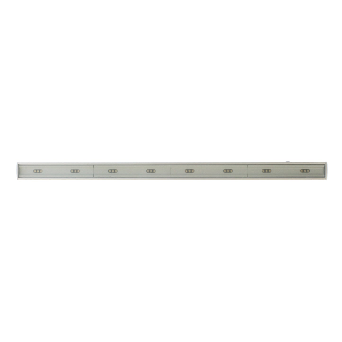 Anolis 1096-0235
