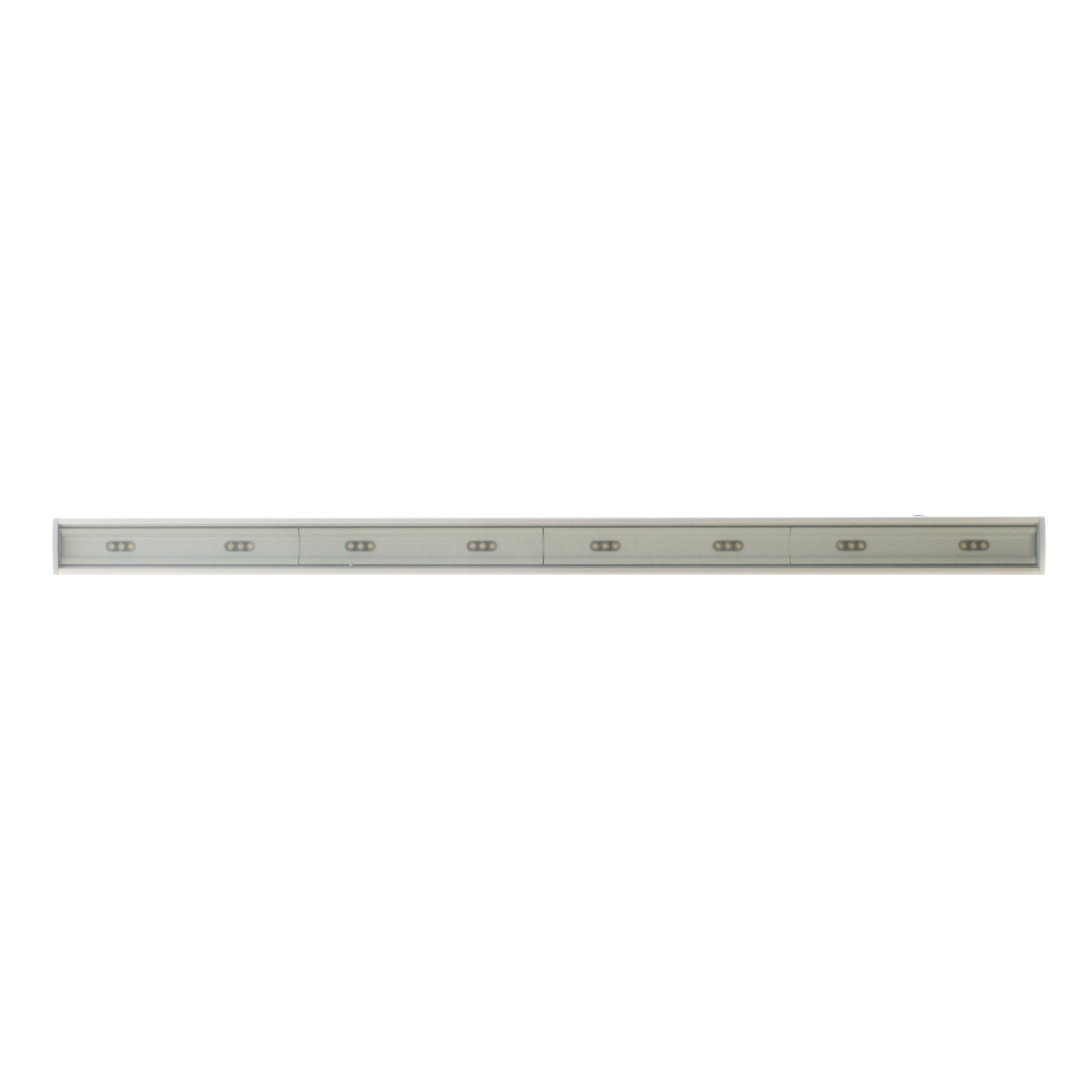 Anolis 1096-0235