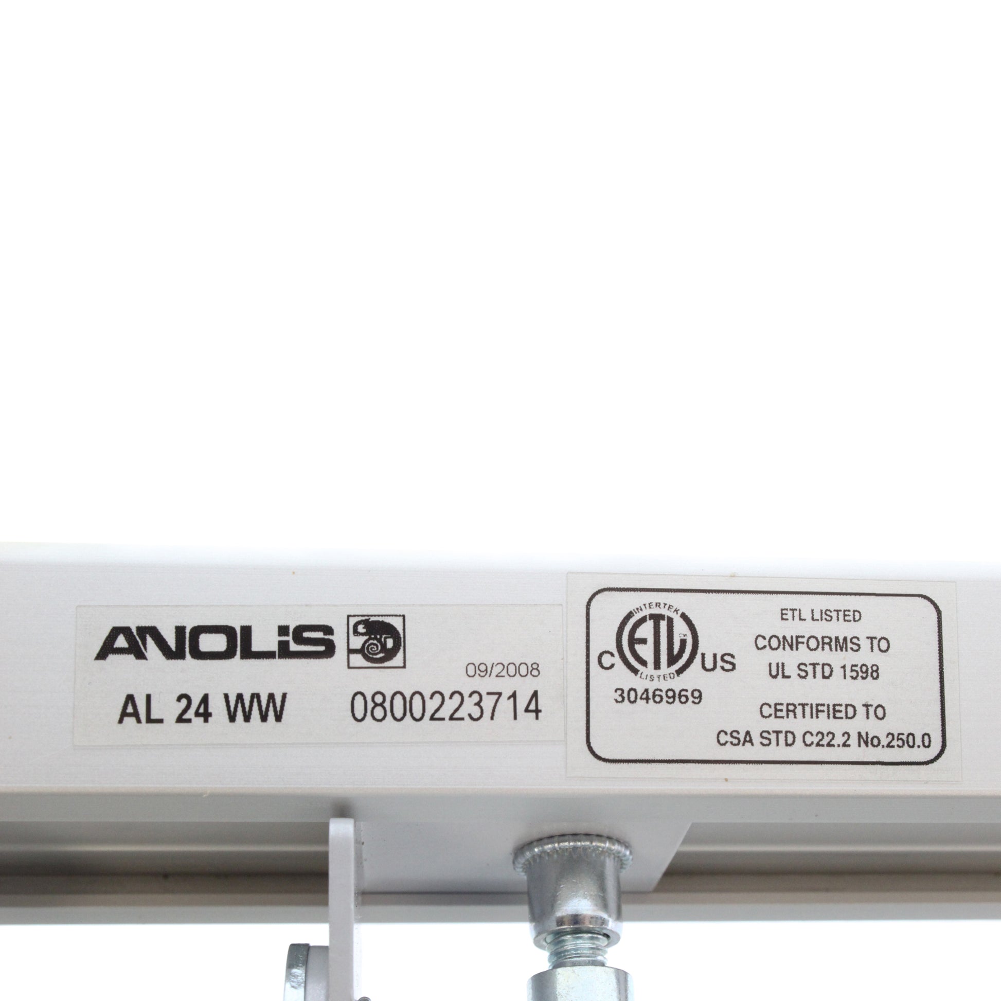 Anolis 1096-0235