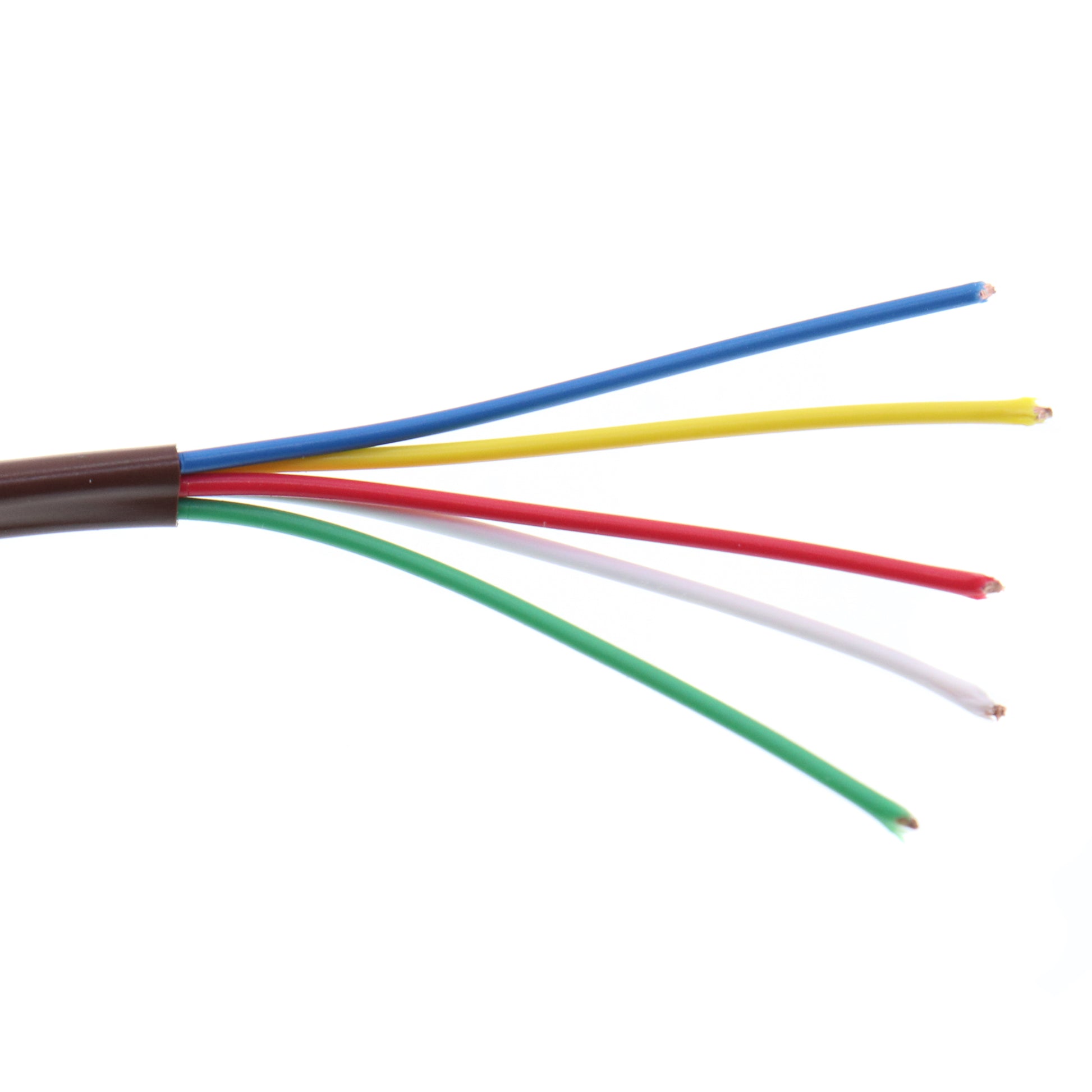 Coleman Cable 552050407