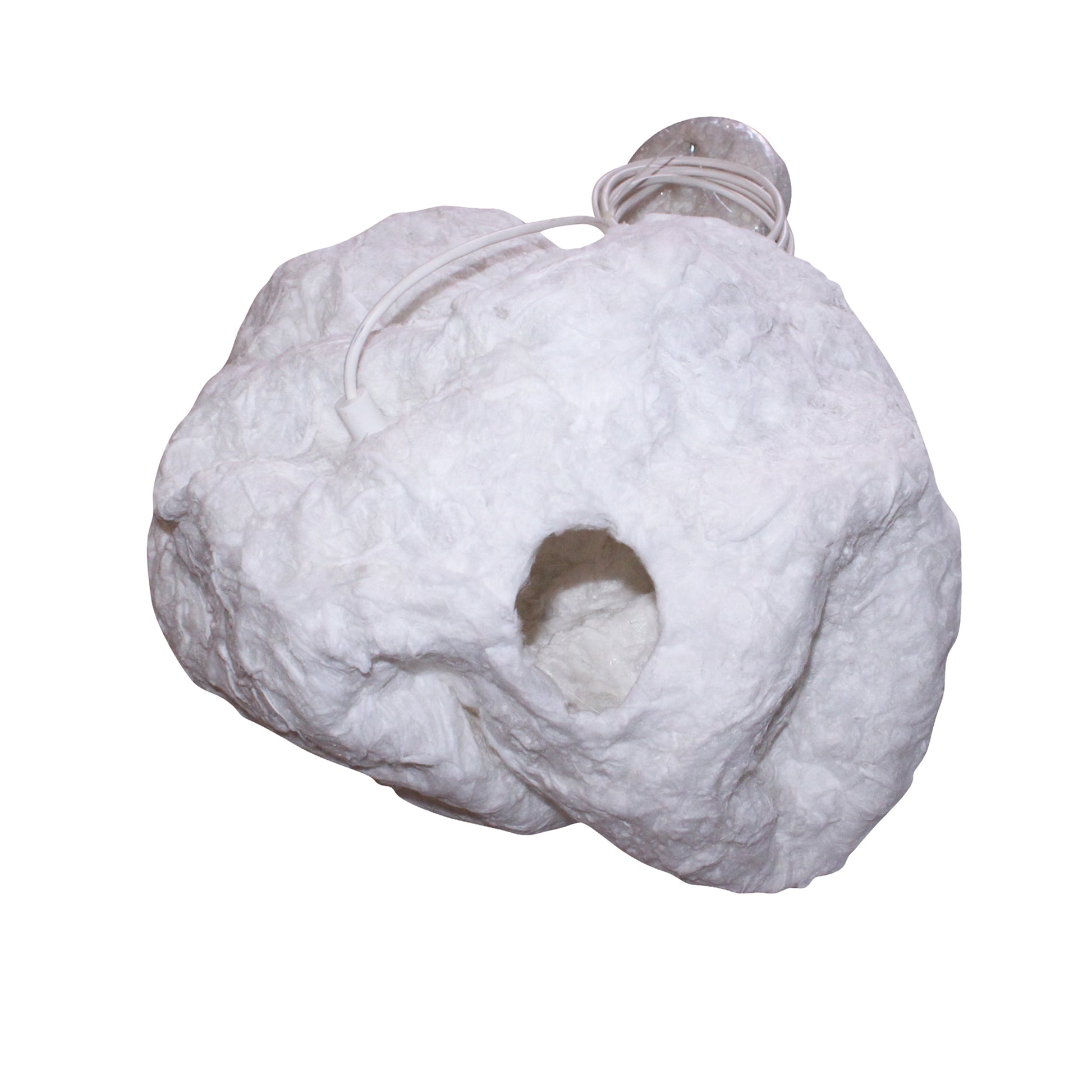 Hive LCO-W-1810
