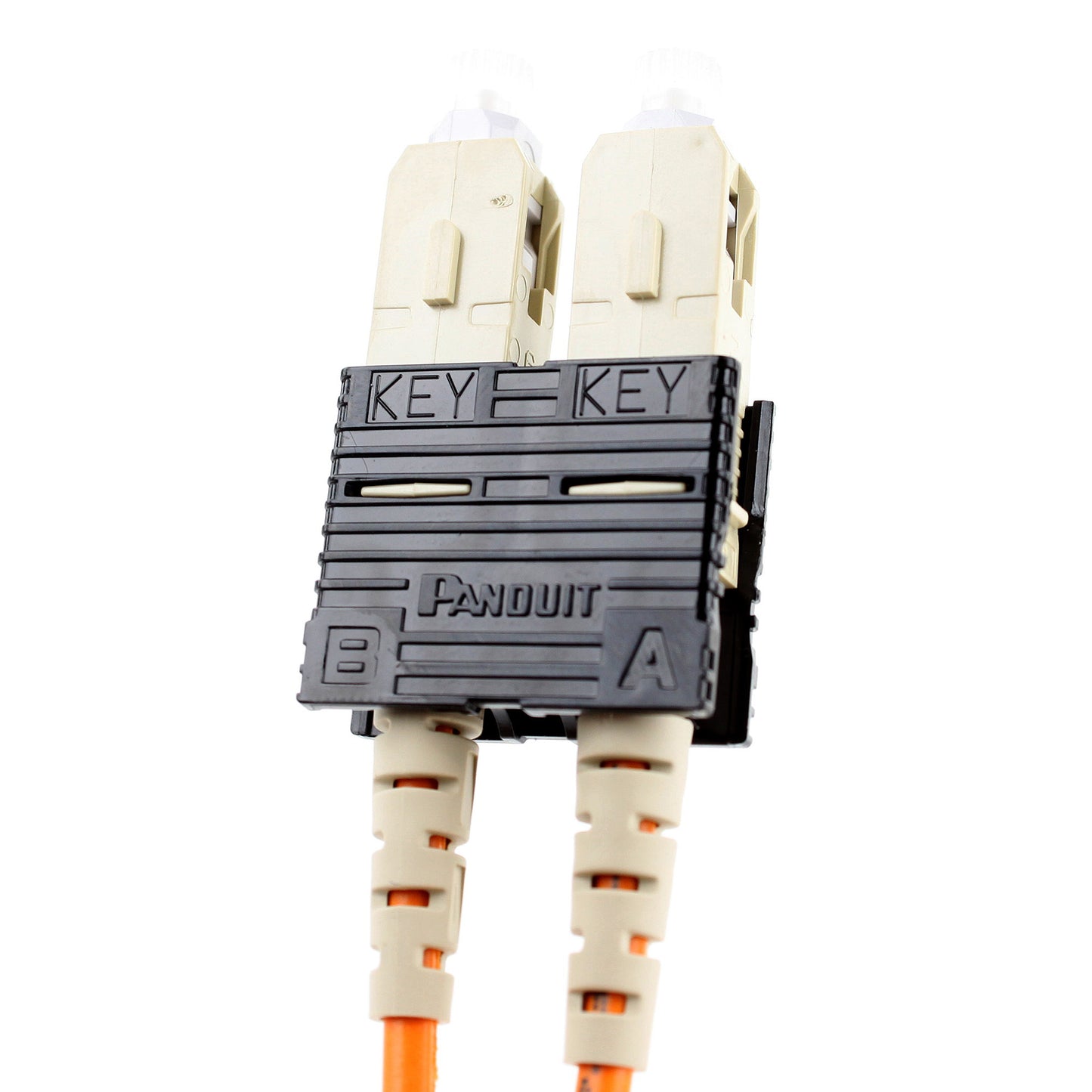 Panduit F6D3-3M1Y